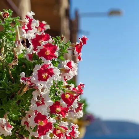 Apartman Wooden Nest Ahladerí